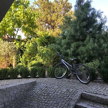 Apartment Przytulne Mieszkanie W Urokliwej Okolicy Chodziez