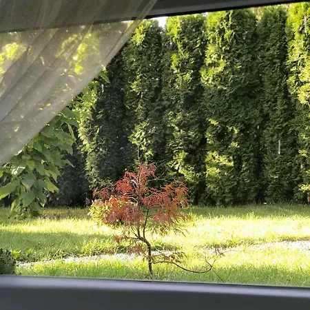 Przytulne Mieszkanie W Urokliwej Okolicy Apartment *