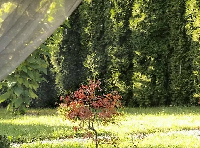 Przytulne Mieszkanie W Urokliwej Okolicy Apartment *